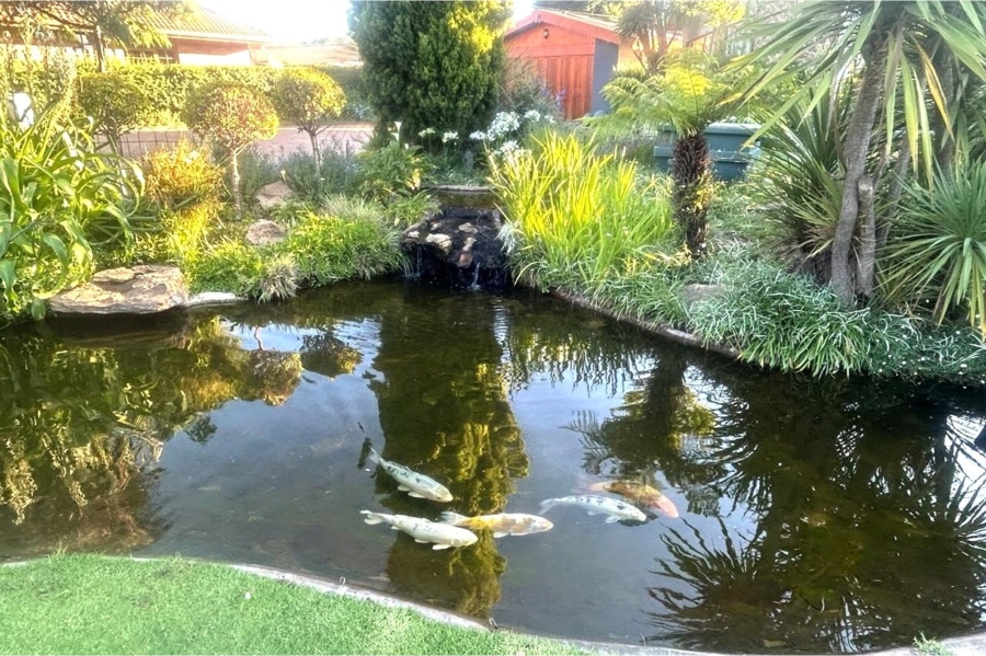 4 Bedroom Property for Sale in Harrismith Free State